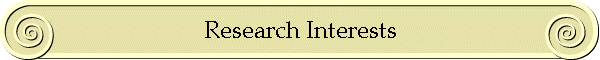Research Interests