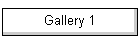 Gallery 1