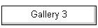 Gallery 3
