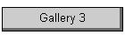 Gallery 3